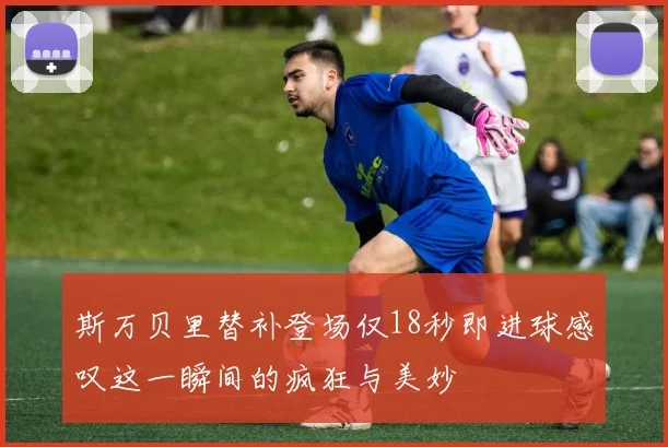 斯万贝里替补登场仅18秒即进球感叹这一瞬间的疯狂与美妙
